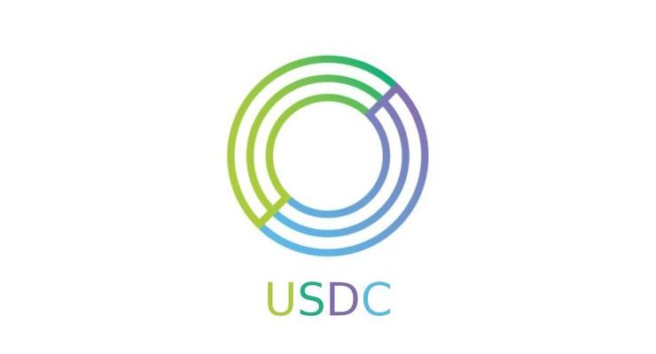 CircIe концентрирует свое внимание на развитии USDC